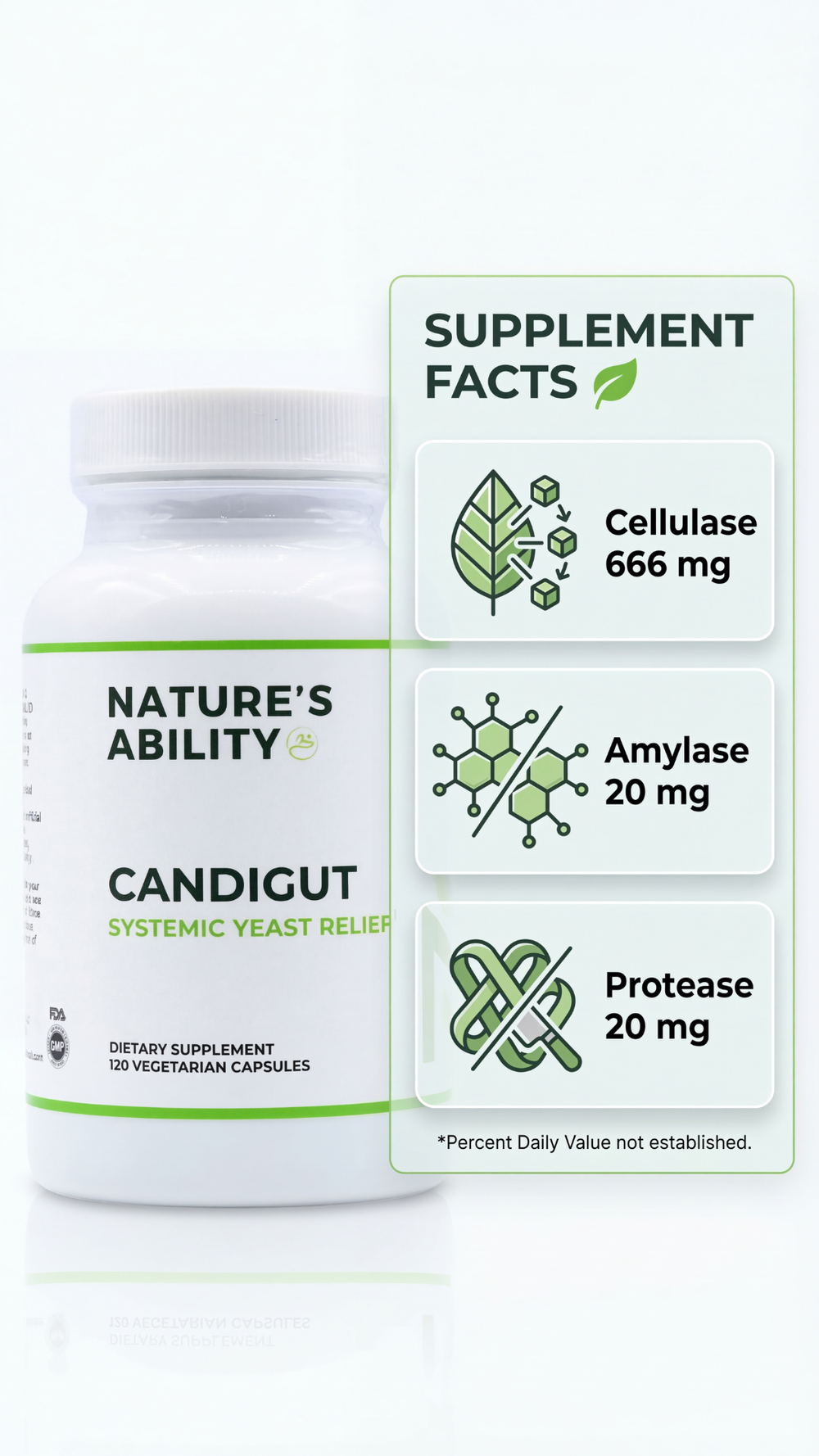 Nature's Ability CandiGut Enzyme Supplement | Cellulase & Protease