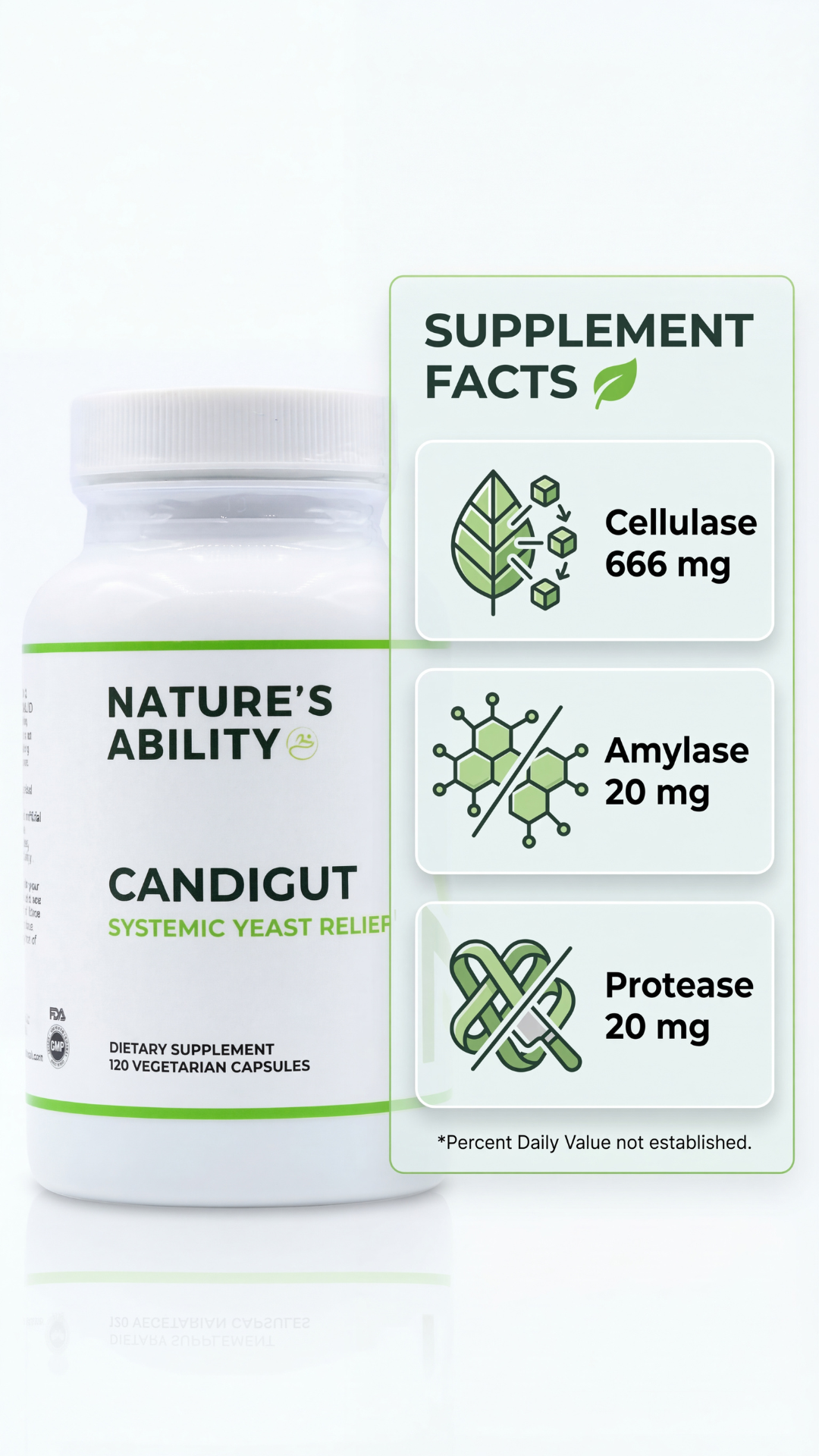 Nature's Ability CandiGut Enzymes | Cellulase & Protease