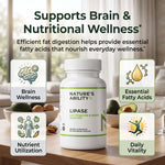 Nature's Ability Premium Lipase | Fat Digestion & Brain Support