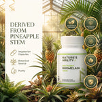 Nature's Ability High-Potency Bromelain 400mg | 2,400 GDU/g