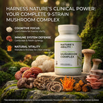 Nature's Ability Premium Mushroom Complex | 9-Strain Blend